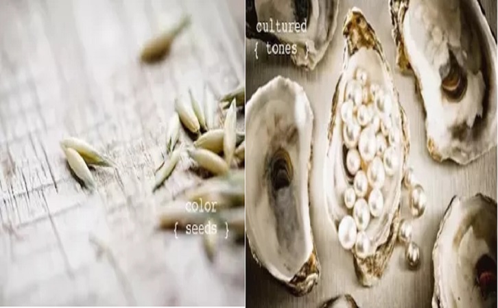 粉色视频网站APP入口免费陶瓷